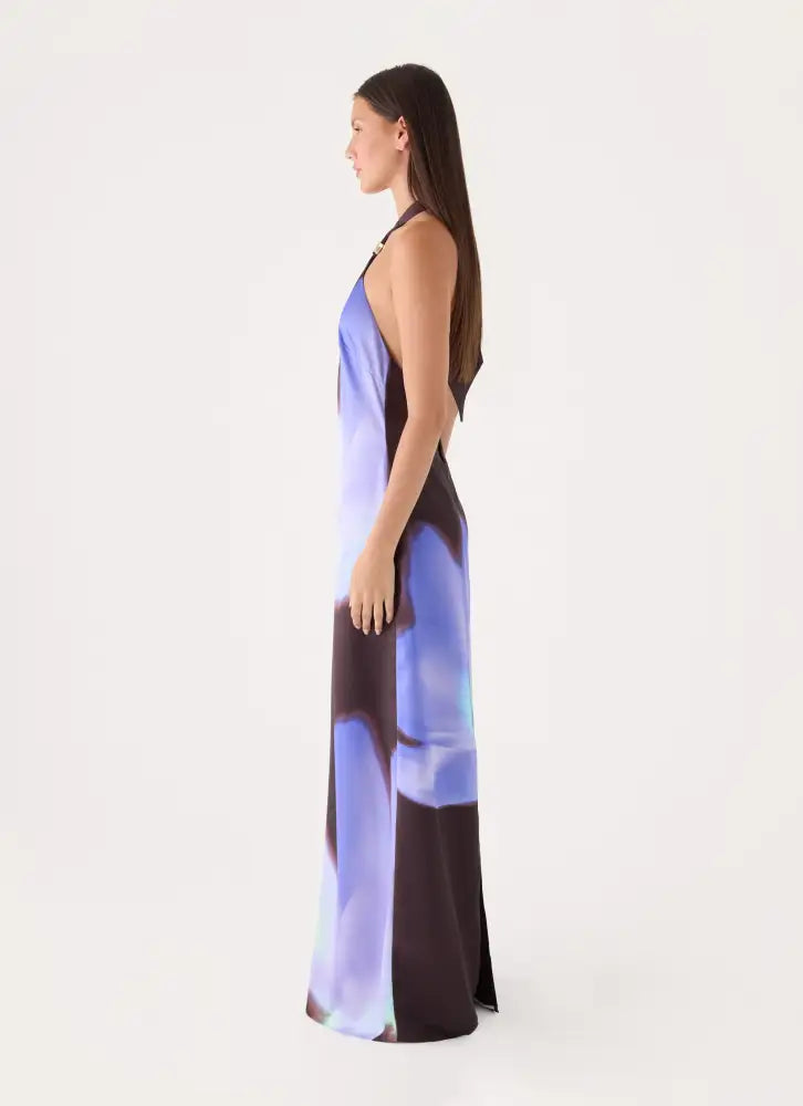Luxia Printed Halter Maxi Dress - Floral Romance - Maxi Dresses